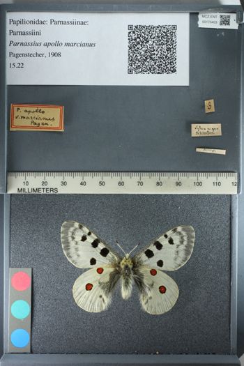 Media type: image;   Entomology 175403